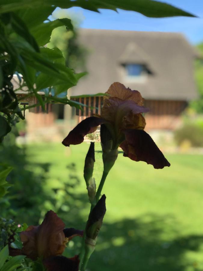 Le Petit Pressoir Bed and Breakfast Saint-Gâtien-des-Bois Buitenkant foto