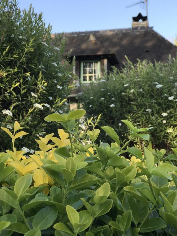 Le Petit Pressoir Bed and Breakfast Saint-Gâtien-des-Bois Buitenkant foto