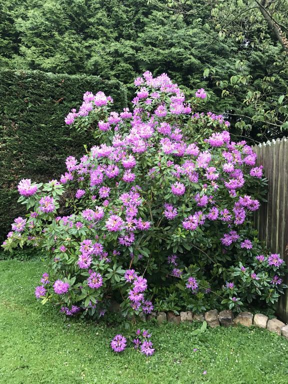 Le Petit Pressoir Bed and Breakfast Saint-Gâtien-des-Bois Buitenkant foto
