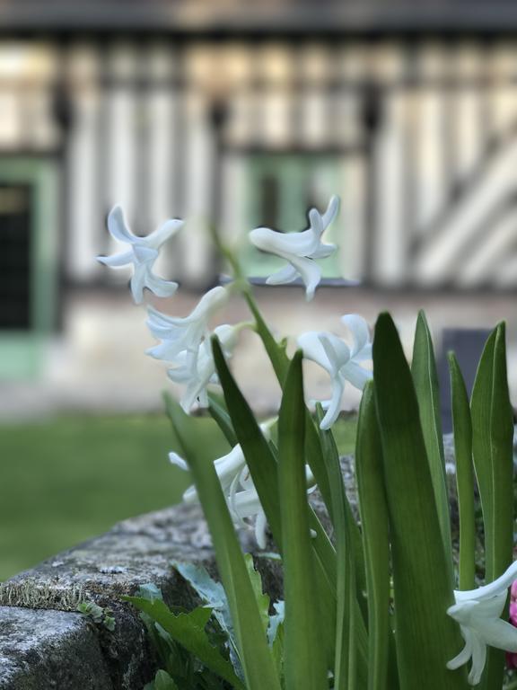 Le Petit Pressoir Bed and Breakfast Saint-Gâtien-des-Bois Buitenkant foto