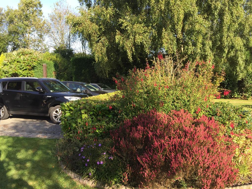 Le Petit Pressoir Bed and Breakfast Saint-Gâtien-des-Bois Buitenkant foto